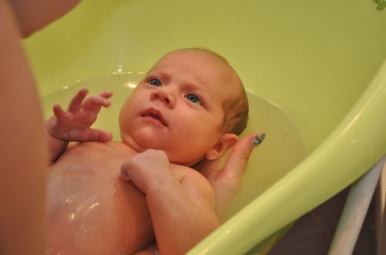 Stadna rewizyta jamnik�w u Hani